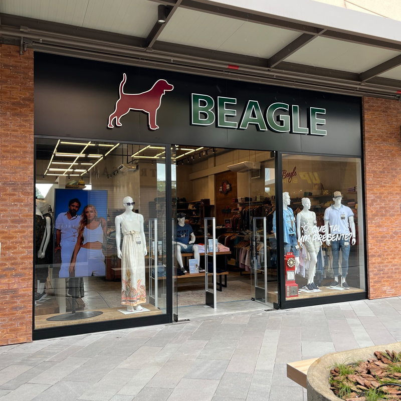 Beagle nasceu em Blumenau e expandiu para três estados em apenas um ano