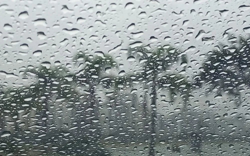 Chuva Persistente e Temperaturas Baixas: Blumenau Se Prepara para um Sábado Chuvoso